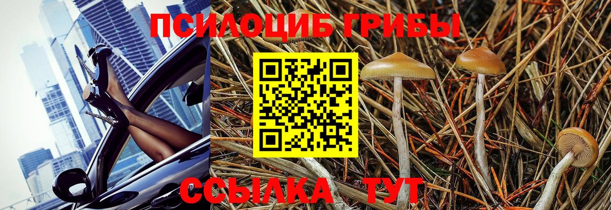 Галлюциногенные грибы мицелий  Вход с VPN  Сорочинск 