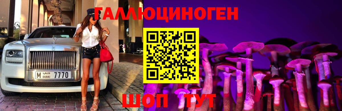 Галлюциногенные грибы Cubensis Сорочинск